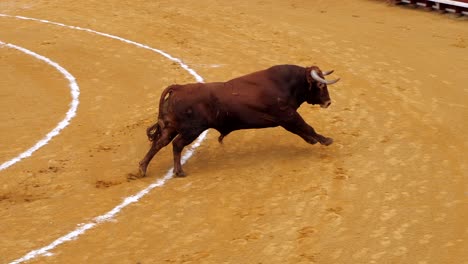 Eine-Stierkampfarena-In-Spanien,-Zeitlupe-1