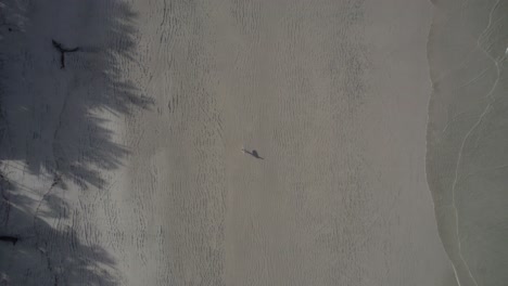 Drohne-Zoom-Aus-Aufnahme-Eines-Surfers,-Der-Bei-Sonnenaufgang-Am-Strand-Von-Stanta-Teresa-In-Costa-Rica-Auf-Dem-Sand-Spazieren-Geht