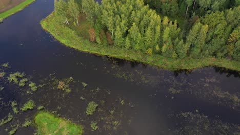 Aerial-downwards-revealing-island-with-trees-in-small-lake-in-Latvia