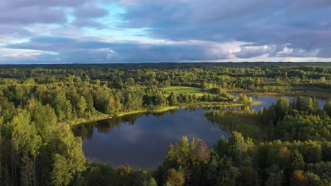 Vast-idyllic-Latvian-Strante-lake-woodland-treetop-greenery,-aerial-view-flying-over