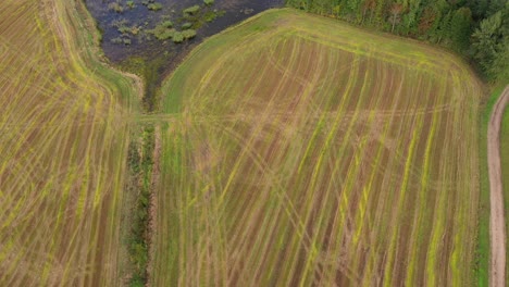 Oben-Kultiviertes-Lettisches-Ackerland,-Teich--Und-Waldlandschaft,-Luftaufnahme-Aus-Der-Vogelperspektive