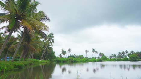 A-place-where-fish-farming-was-done-which-was-submerged-due-to-rain-,-Heavy-rains-due-to-climate-change-,-Many-nearby-coconut-groves-are-standing-in-water-,Flash-floods-,-Ready-to-rain