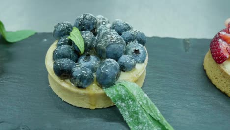 Blueberry-custard-mini-cake-with-mint-leaves