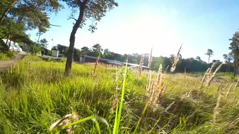 FPV-Pan-Left-From-Empty-Path-Over-Tall-Grass-With-Large-Barns-In-The-Background-on-Sunny-day