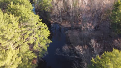Top-down-reveal-drone-river-view-surrounded-by-forest-and-trees-at-golden-hour-Highlands01