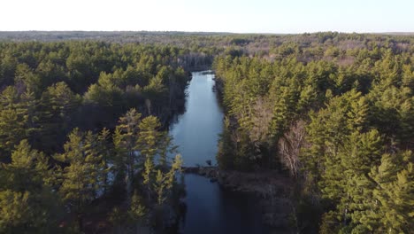Push-in-drone-river-view-surrounded-by-forest-and-trees-at-golden-hour-Highlands07