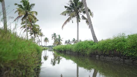 A-canal-flows-through-the-middle-of-coconut-groves-filled-with-rain-,-rain-due-to-climate-change-,-The-canal-is-covered-with-grass-on-both-sides,-Water-Supply-in-the-Asian-Continent