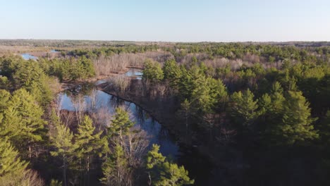 Push-in-drone-river-view-surrounded-by-forest-and-trees-at-golden-hour-Highlands02