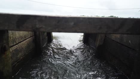The-water-is-flowing-strongly-through-sluice-gate-,-Shot-through-the-gate,-water-to-the-Aquaculture-farm-