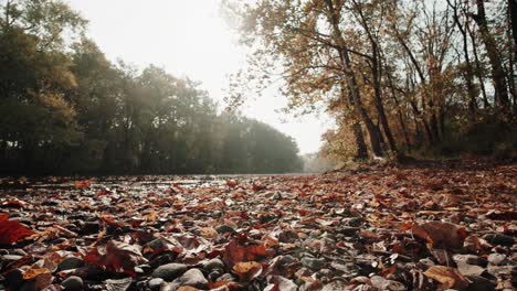 Tiefwinkelaufnahme-Des-Flusses-Im-Wald-Im-Herbst,-Die-Kamera-Bewegt-Sich-Knapp-über-Gelben-Blättern