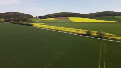 Gepflügte-Grüne-Naturlandschaft-Mit-Sonnigem-Sommerhimmel-Und-Baumluftbild