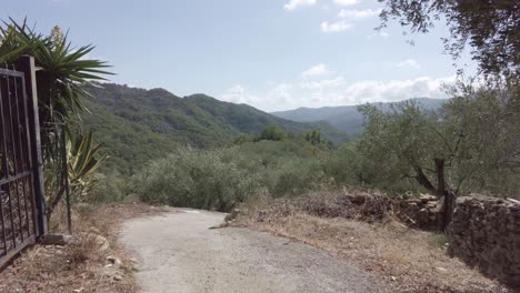 Slowmotion:-Blick-über-Die-Bergseite-Des-Italienischen-Prelà-Castello-In-Ligurien-Mit-Olivenbaumpark-Im-Vordergrund-Und-Bergwald-Im-Hintergrund