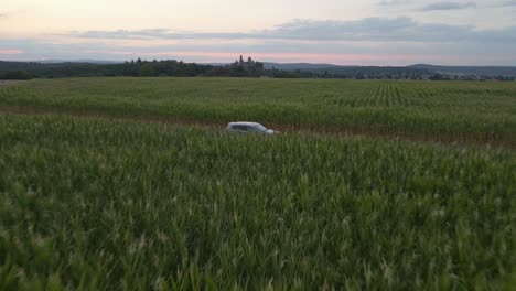 Backward-low-drone-flight-over-huge-corn-fields-in-germany