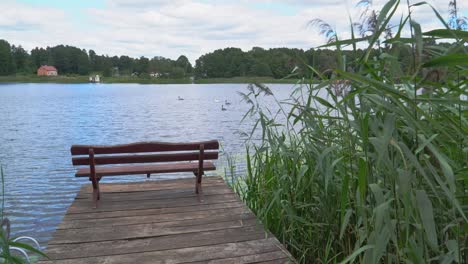 A-wooden-bench-on-a-wooden-platform-among-the-reeds-on-a-quiet-and-peaceful-lake