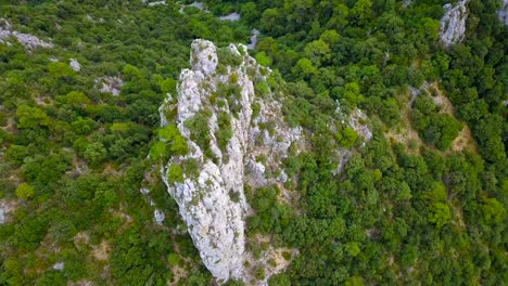 Aerial-Overhead-View-Of-Granite-Rock-Face-Covered-In-Temperate-Green-Vegetation