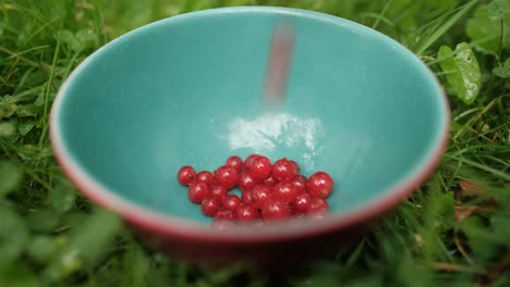 Bowl-standing-on-the-ground-with-red-currant-inside,-close-up