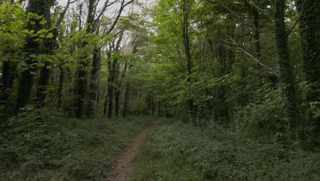 Bosque-En-Gran-Bretaña