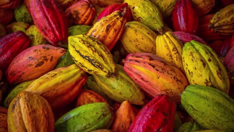 Kakao-Frucht.-Lebensmittelhintergrund.-Maya-Zivilisation