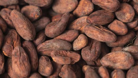 Granos-De-Cacao.-Fondo-De-Comida.-Civilizacion-Maya