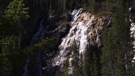 Reveal-of-cascading-waterfall-surrounded-by-pine-trees-on-sunny-mountainside