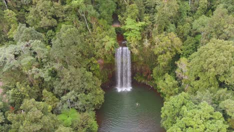 Aerial-shot-of-a-swimmer-at-Milla-Milla-Falls-in-North-Queensland,-Australia