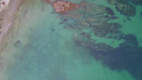 Luftdrohnenansicht-Einer-Person,-Die-In-Leuchtend-Grünen-Wassern-Der-Atlantikküste-In-Der-Nähe-Von-Galizien,-Spanien,-Schnorchelt
