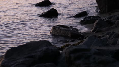 Calm-waves-by-the-rocky-ocean-shore-at-dusk-in-slow-motion