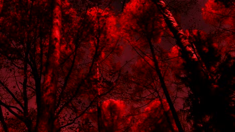 Dark-Red-Forest-from-Hell-Dramatic-Spooky-View