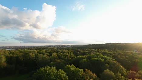 Luftfliegen-über-Herbstlichen-Waldbäumen-In-Gdynia-Während-Des-Sonnenuntergangs-Mit-Schwenkbewegung-Nach-Links