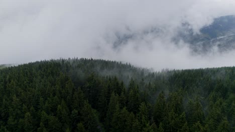 Wald-Und-Hügel-Am-Morgen-Bei-Nebligem-Wetter-1