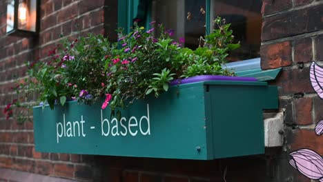 Plants-based-here,-London,-United-Kingdom