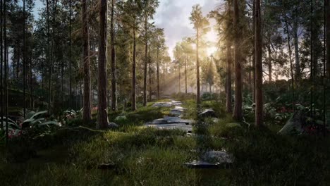 Beautiful-forest-with-trees-in-the-morning-sunlight