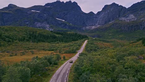 Aerial-shot-following-a-golden-car-through-the-grass-forest-tree-landscape-in-Lofoten-Northern-Norway-Europe-with-the-road-winding-towards-the-horizon-of-lakes-and-green-yellow-sights-in-summer
