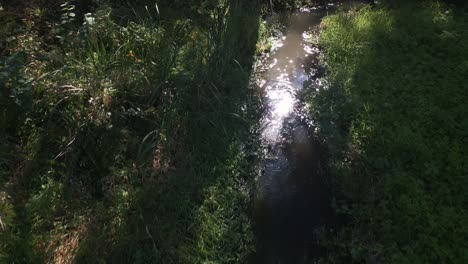 The-camera-slowly-floats-over-a-meandering-stream-in-the-middle-of-the-forest