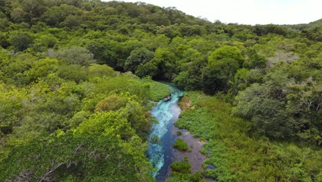 Blauer-Wasserfluss-Im-Umgebenen-Grünen-Wald-In-Bonito,-Brasilien