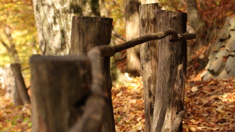Old-dilapidated-protective-fence-in-autumn,-rack-focus