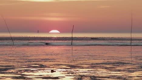 Orange-sunset-over-low-tide-North-Sea