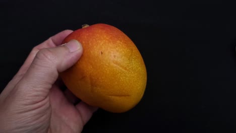 4k-video-of-a-Mango-fruit