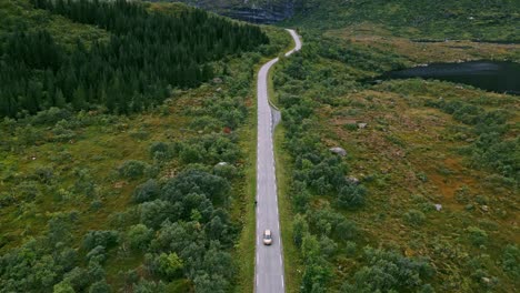 Flying-downward-shot-in-front-of-golden-car-driving-along-the-scenic-road-in-Lofoten-Norway-through-green-forests-and-yellow-grass