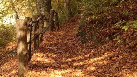 Schöner-Weg-Im-Park-Für-Menschen,-Die-Mit-Herbstlaub-Neben-Einem-Alten-Verfallenen-Zaun-Bedeckt-Sind