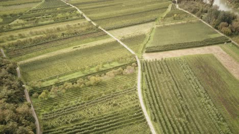 Drone-Footage-from-the-wonderful-Wachau-in-Lower-Austria-over-an-apple-and-apricot-field