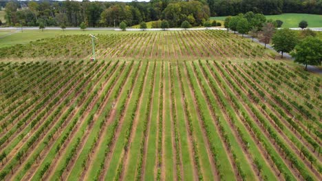 Ariel-flyover-of-Vineyard-with-trees-around-in-Clemmons-nc