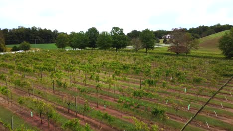 Drone-shot-of-Vineyard-in-Clemmons-NC