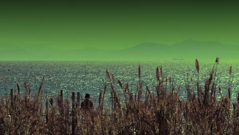 Grüner-Himmel,-Blaues-Meer,-Rotes-Gras,-Farbenfrohe-Landschaft,-Filmisch