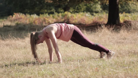 In-the-park-on-a-sunny-day,-a-young-woman-is-exercising-her-yoga-poses-while-standing-in-the-downward-facing-dog-and-Adho-Mukha-Savasana-positions