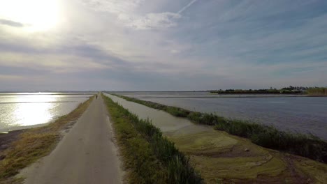 A-person-biking-in-a-road-surrounded-by-flooded-rice-fields