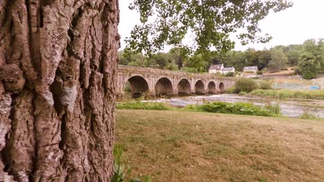 The-camera-slowly-moves-sideways-past-a-tree-to-reveal-an-old-brick-bridge-over-a-beautiful-flowing-river