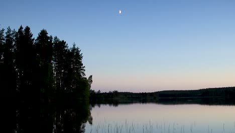 Moon-in-water-reflection,-paning-upwards-over-a-lake-in-a-forest