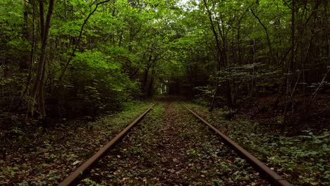 Tree-tunnel-with-railroad-tracks-in-slow-motion