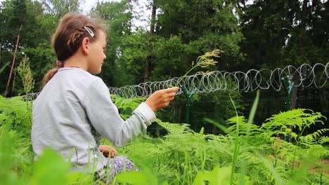 A-little-girl-sits-in-the-ferns-in-front-of-the-barbed-fence